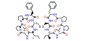 Antatollamide B